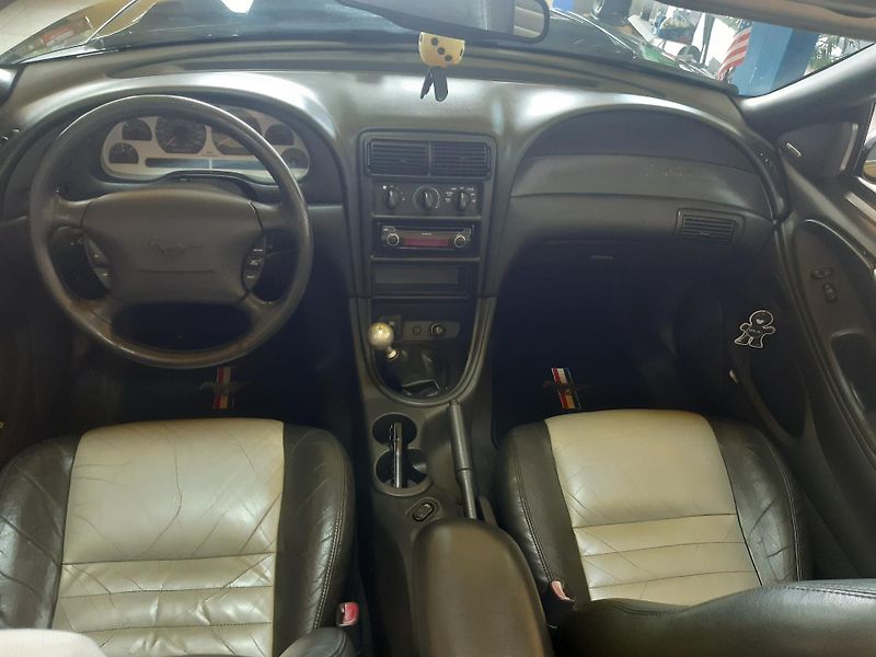 Ford Mustang 5.0 V6 CABRIO - fotka 14 z 19