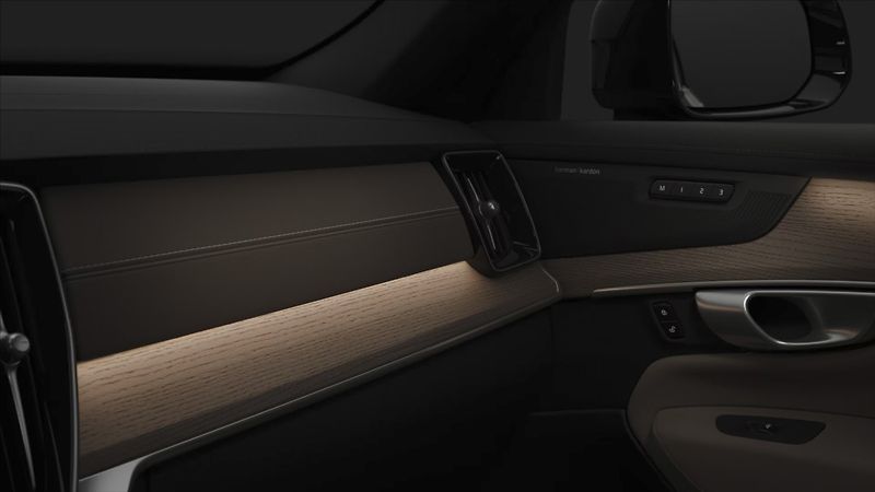 Volvo XC90 (2026) 2,0 T8  Plus Dark - fotka 14 z 14