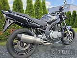 Suzuki GS 500 (2004) - náhled 6