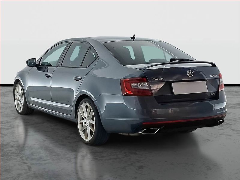 Škoda Octavia (2018) RS 2.0 TDI, Tempomat - fotka 4 z 17