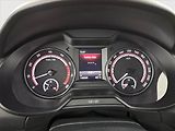 Škoda Octavia (2017) RS 230 2.0 TSI, Tempomat - náhled 11