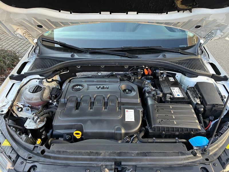 Škoda Octavia 1.6 TDi 77 kW AMBITION - fotka 13 z 17