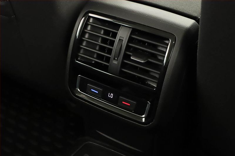 Volkswagen Passat (2019) 2.0 TDI, 4X4, Automat - fotka 13 z 18