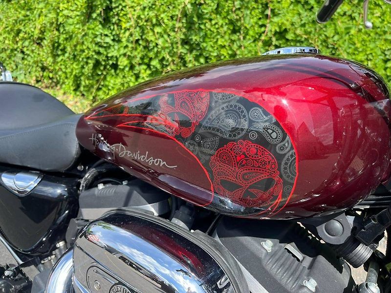 Harley-Davidson (2014) XL 1200 CP Sportster 1200 Cust - fotka 11 z 14