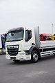 DAF LF (2018) 320 / ACC / E 6 / BURTOWY / 24 - náhled 21