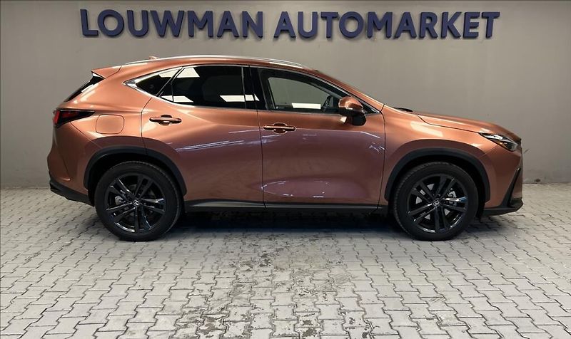 Lexus NX 450h plus 450H+ 2,5 PHEV PRESTIGE - fotka 14 z 18