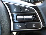 Kia XCeed (2023) 1.5 TGDi, ČR, AT, navi - náhled 12
