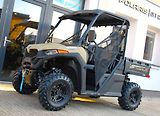 CFMOTO Gladiator UTV 625 (2026) UTV625 YELLOW - náhled 3