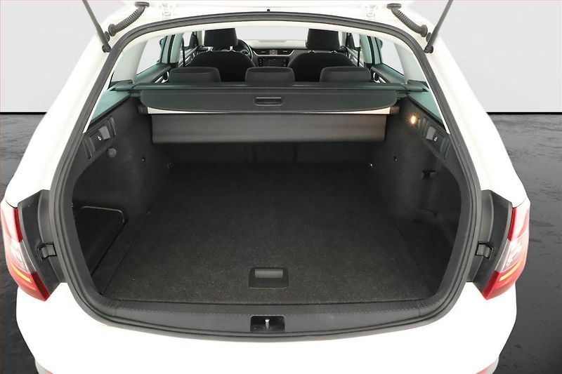 Škoda Octavia (2019) Scout 2.0 TDI, 4X4, Automat - fotka 11 z 21