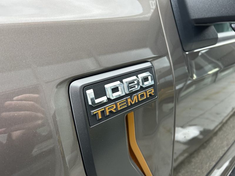 Ford F-150 TREMOR - fotka 9 z 42