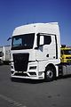MAN TGX (2021) 18.470 / EURO 6 / GX / ACC / R - náhled 29