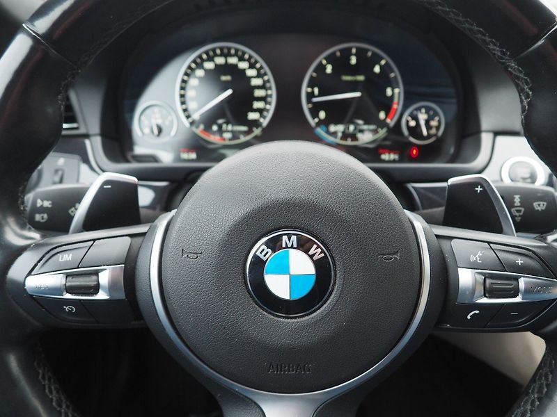BMW Řada 5 (2014) 3.0D xDrive, Headup display - fotka 22 z 37