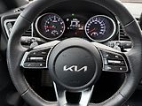 Kia ProCeed 1.5 T-DGi  118kW  7DC GT DPH - náhled 15