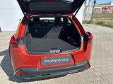 Lexus UX 250h 2,0 HSD F Sport Design AWD - náhled 10