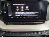 Škoda Octavia (2022) Combi Style Plus DSG 2,0TDi 11 - náhled 25