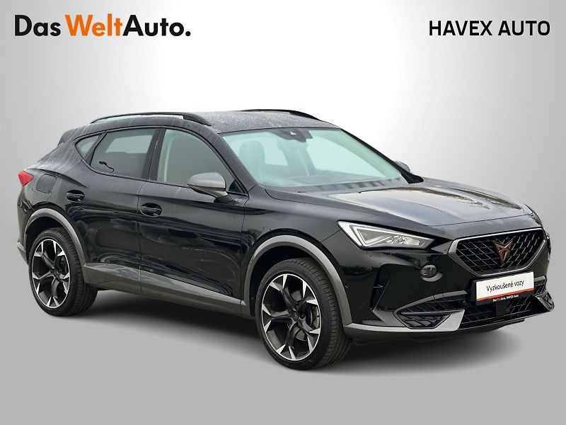 Cupra Formentor (2024) 2.0 TSI 4Drive DSG - fotka 33 z 35