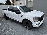 Ford F-150 5,0 V8 298kW - náhled 7