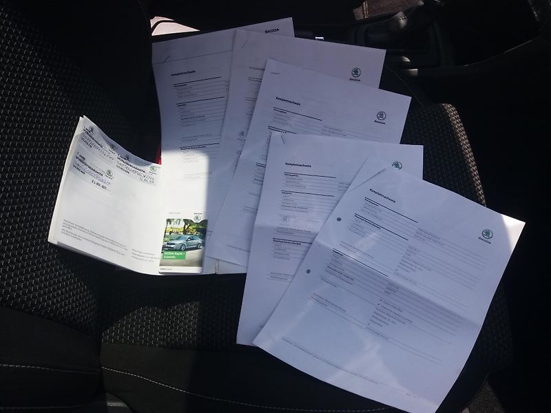 Škoda Rapid 1.4TSi,DSG,XENONY,PANORAMA!! - fotka 29 z 31
