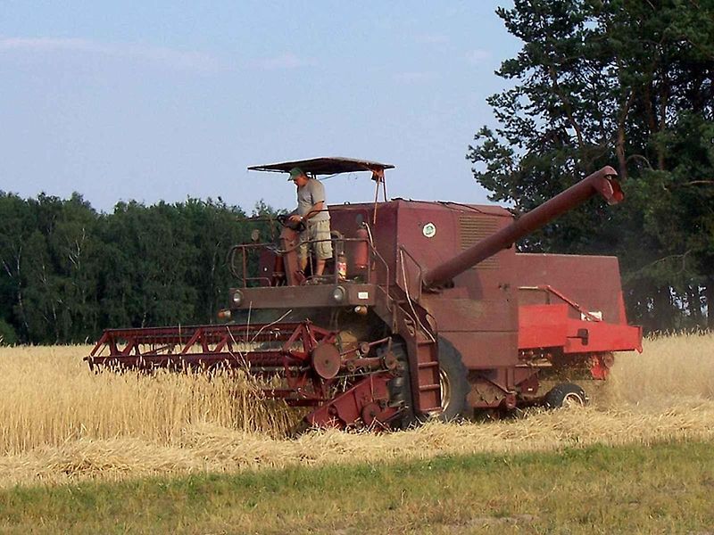 Zvuk motoru při vyšších otáčkách nebo tvar připomínající bizona, vynesly kombajnům značky Bizon titul skutečné legendy polského venkova. Na snímku je model Z-056.