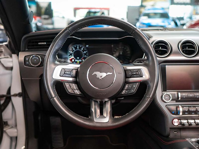 Ford Mustang (2019) 5.0 GT Premium Convertible - fotka 16 z 31
