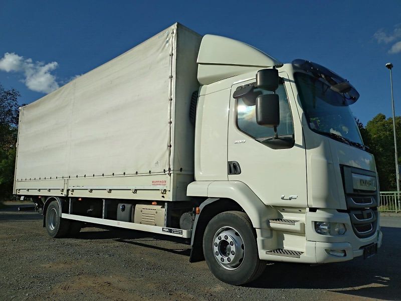 DAF LF (2019) 290-16t-18EP-Čelo-Lůžko - fotka 6 z 24