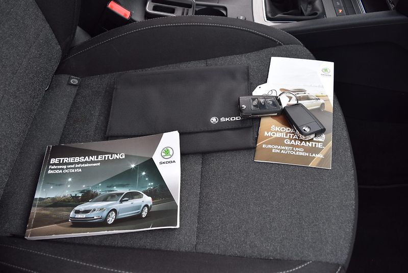 Škoda Octavia (2020) 2.0TDI 110kwSOLEIL VIRTUAL KAM - fotka 48 z 48