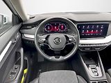 Škoda Octavia (2023) 2.0 TDI 110kW DSG Style Plus c - náhled 6