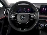 Škoda Kodiaq (2024) 2.0TDI 142KW 4x4 DSG PANORAMA - náhled 18