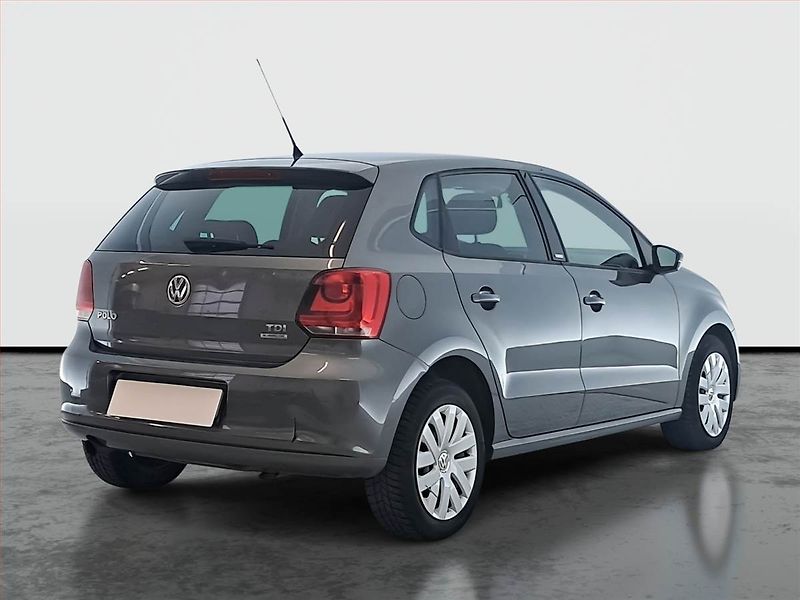 Volkswagen Polo (2012) 1.6 TDI, Tempomat - fotka 5 z 17