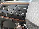 Cupra Formentor (2021) 2.0 TSi 4Drive, DSG, navi, - náhled 16