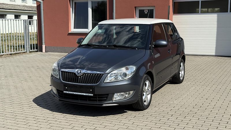 Škoda Fabia 1.2TSi*77kW*DSG*AUTOMAT*SPORT* - fotografie inzerátu