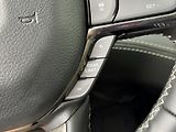 RAM 1500 (2026) Limited 5.7 V8 HEMI 2026 - náhled 19
