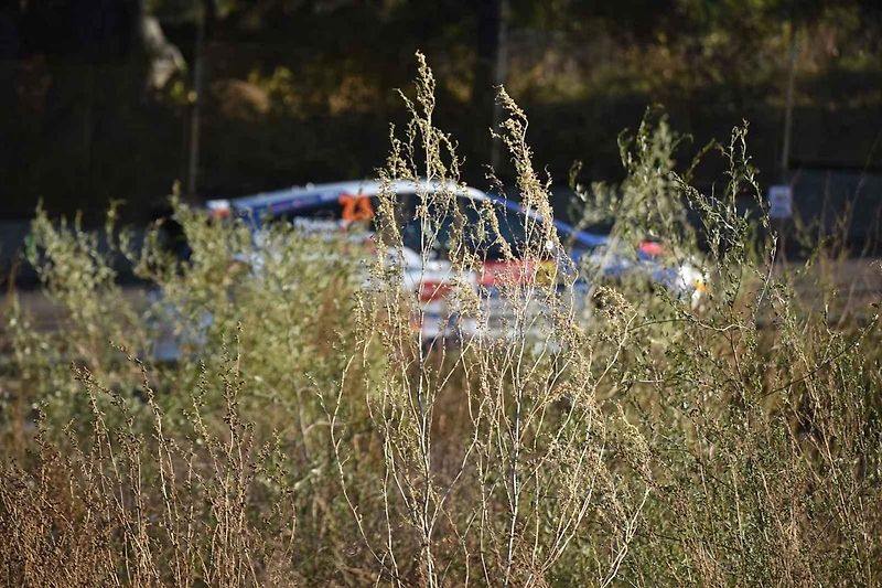 Václav Pech pražský Tipcars Rallysprint vyhrál již po jedenácté