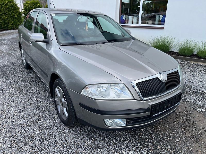 Škoda Octavia (2007) 1.9 TDI Bez DPF - fotka 1 z 21