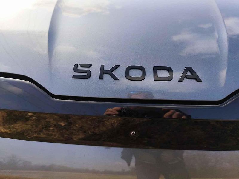 Škoda Elroq v našem testu vezla psí štěně i sudy piva.