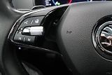 Škoda Karoq - náhled 14