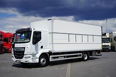 DAF LF 260 / EURO 6 / ACC / IZOTERMA  - fotografie inzerátu