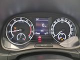 Škoda Fabia (2021) 1.0 TSI, ČR,1.maj, Tempomat - náhled 11