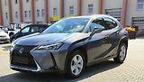 Lexus UX 250h BUSINESS edition,alcantara - náhled 2