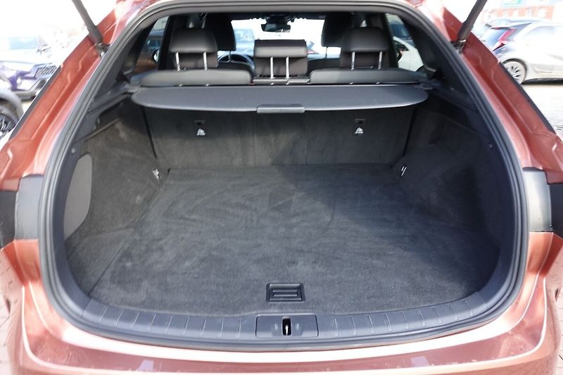 Lexus RX RX450+ PHEV Plug-in hybrid Exe - fotka 15 z 36