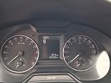 Škoda Octavia 1,6 1.6 TDi, po servisu, DPH - náhled 12
