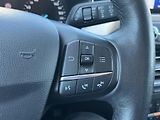 Ford Focus (2019) 1.5 EcoBlue 88kW, ČR, Navi - náhled 12