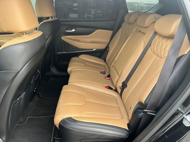 Hyundai Santa Fe 2.2 CRDI/142kW Luxury DCT 4x4 - fotka 25 z 30