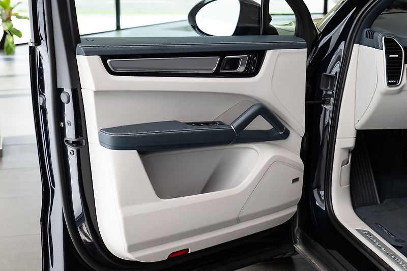 Porsche Cayenne E-Hybrid Platinum Edition/Bose - fotka 7 z 28