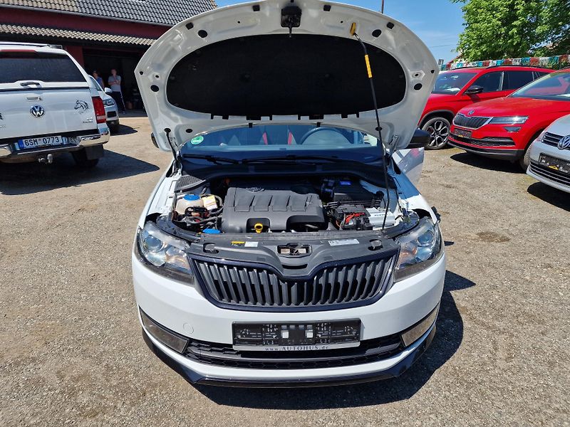 Škoda Rapid 1,6TDI MONTE CARLO - fotka 20 z 20