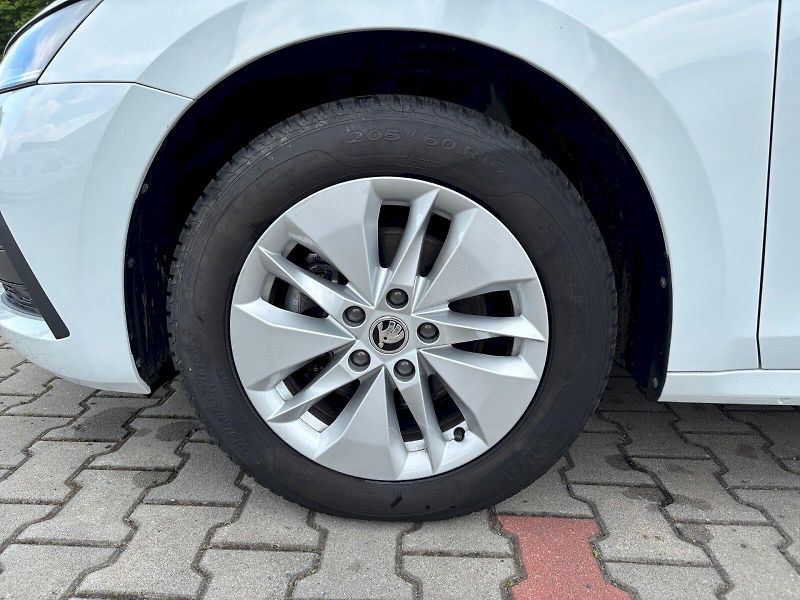 Škoda Octavia (2024) Combi 2.0 TDI Ambition - fotka 12 z 30