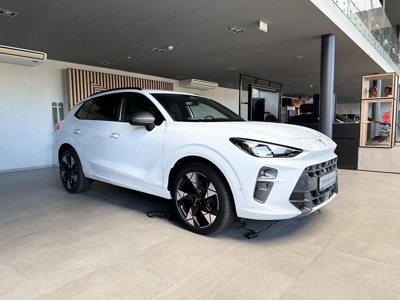 Cupra Terramar (2026) VZ 2.0 TSi 265k DSG 4WD - fotka 9 z 16