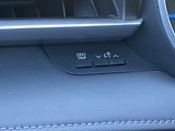 Toyota Highlander 2.5HSD, ČR-1m, Comfort, tažné - náhled 34