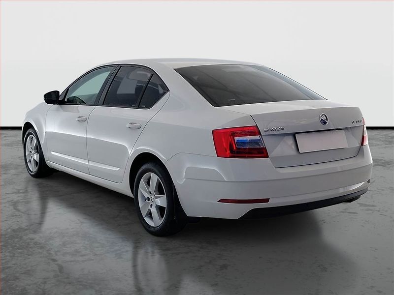 Škoda Octavia (2018) 1.4 TSI, ČR,1.maj, Serv.kniha - fotka 4 z 15