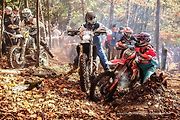Po posledním závodě seriálu FIM HARD ENDURO Word Championship se stal Václav Nedvěd z Kladrub dvanáctým nejlepším hardendurovým jezdcem světa.